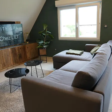 L'atelier Emile - Privatif - 5 Min Colmar 4* Sainte-Croix-en-Plaine