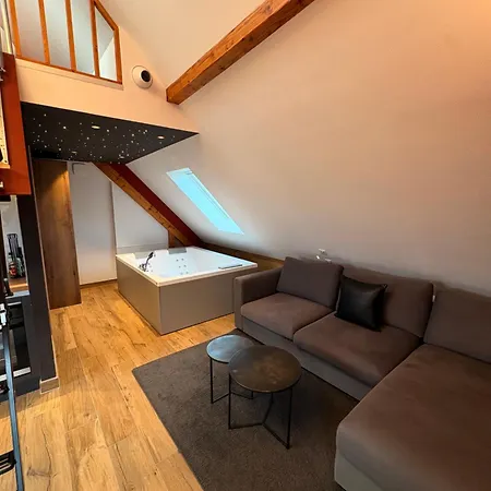 Alojamento de Acomodação e Pequeno-almoço L'atelier Emile - Privatif - 5 Min Colmar